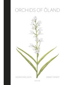 Orchids of Öland