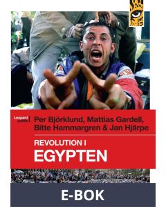 Revolution i Egypten, E-bok