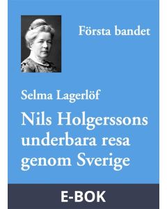 Nils Holgerssons underbara resa genom Sverige - första bandet, E-bok