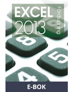 Excel 2013 Fördjupning, E-bok