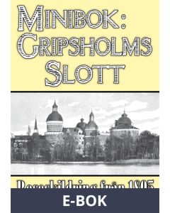 Minibok: Besök på Gripsholms slott 1895, E-bok