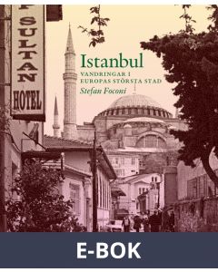 Istanbul - Vandringar i europas största stad, E-bok