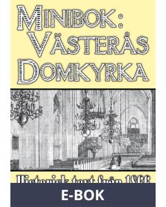 Skildring av Västerås domkyrka år 1866, E-bok