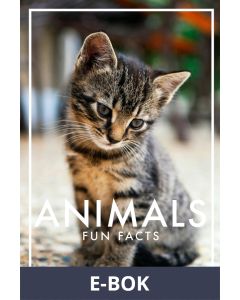 Animals Fun Facts (PDF), E-bok