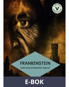 Frankenstein (lättläst), E-bok