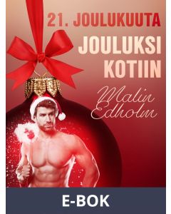 21. joulukuuta: Jouluksi kotiin – eroottinen joulukalenteri, E-bok