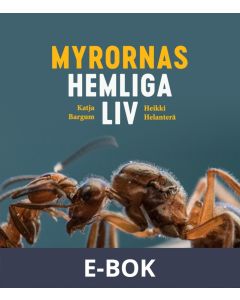 Myrornas hemliga liv, E-bok