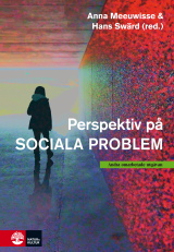 Perspektiv på sociala problem