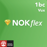 NOKflex Matematik 1abc Vux