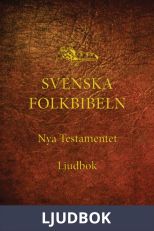 Nya testamentet (Svenska Folkbibeln 98), Ljudbok