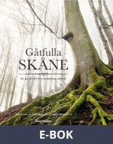 Gåtfulla Skåne : En guide till mytomspunna platser, E-bok