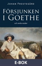 Försjunken i Goethe och andra essäer, E-bok