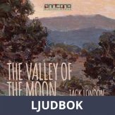 The Valley of the Moon, Ljudbok