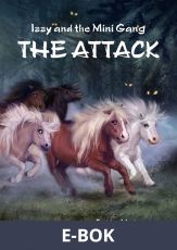 The Attack, E-bok