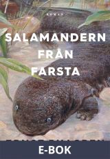 Salamandern från Farsta, E-bok