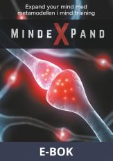 Mindexpand: Metamodellen i Mind Training, E-bok