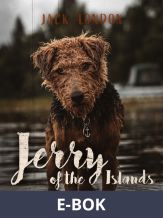 Jerry of the Islands, E-bok