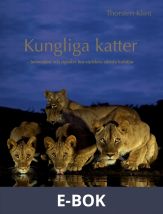 Kungliga katter : Beteenden och signaler hos världens största kattdjur, E-bok