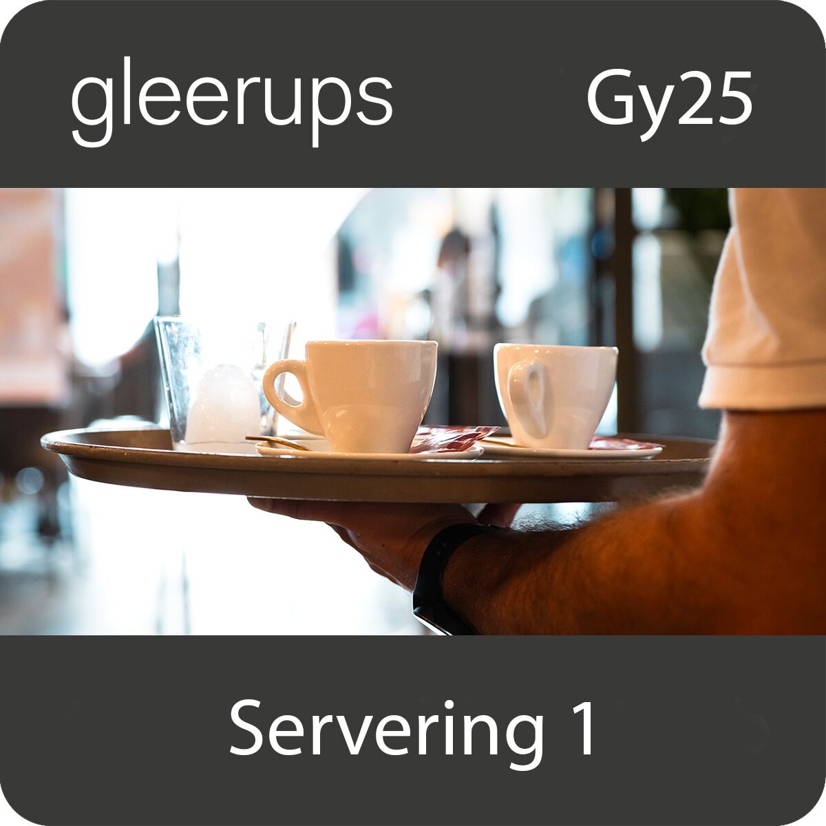 BokGym Servering 1, digitalt läromedel, elev, Gy25